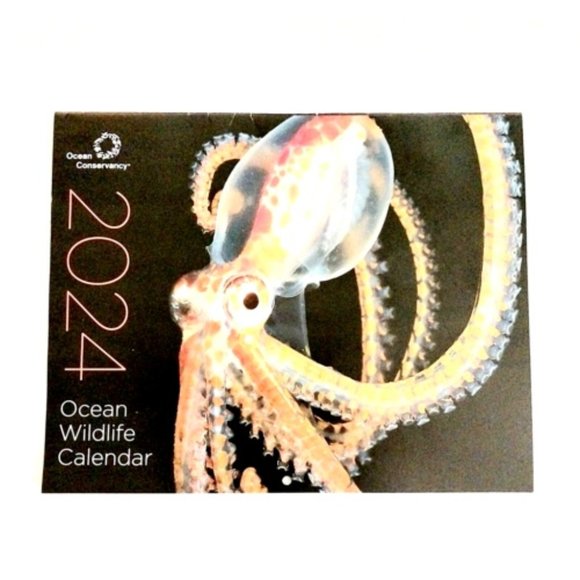 Office Ocean Conservancy 224 Ocean Wildlife Calendar Poshmark